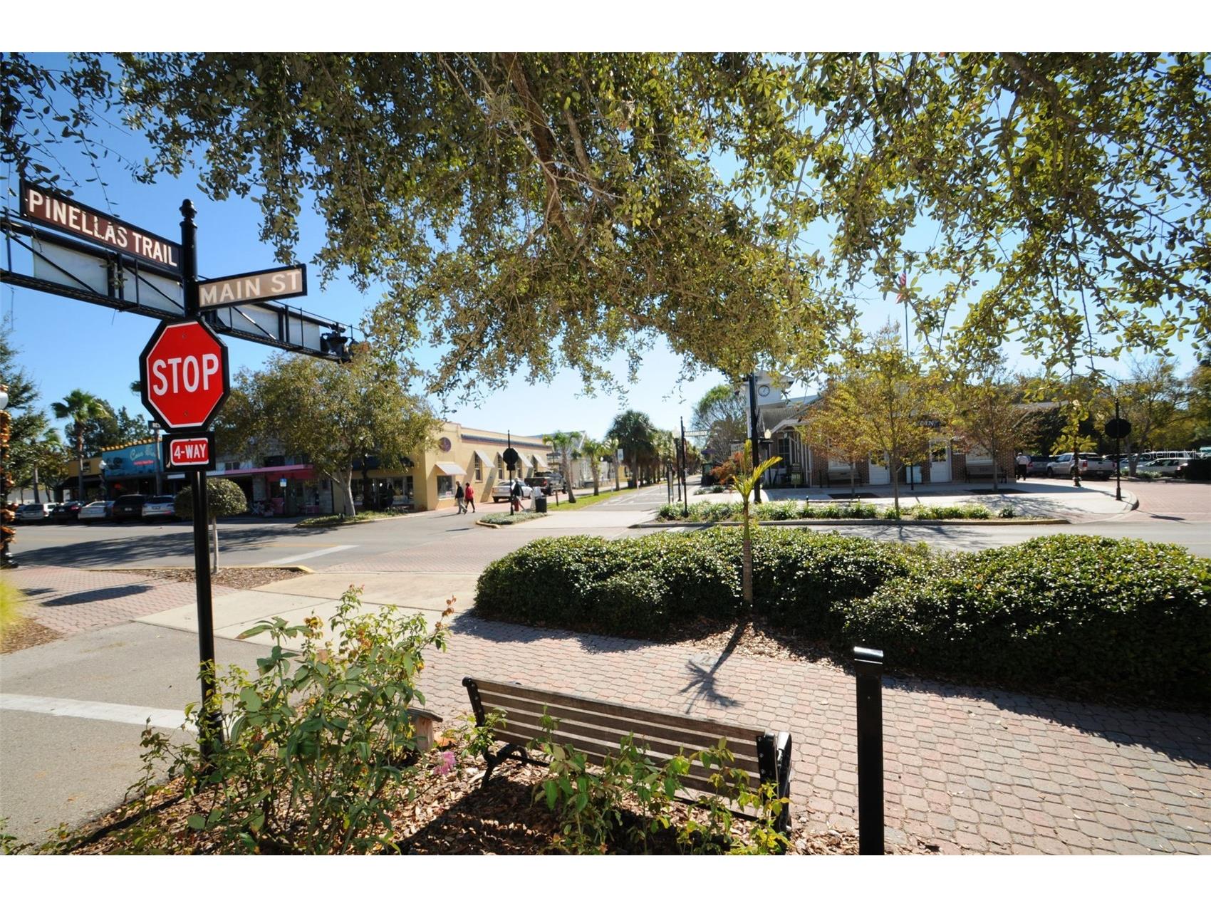 253 Park Circle S Dunedin FL 34698 TB8496788 image49