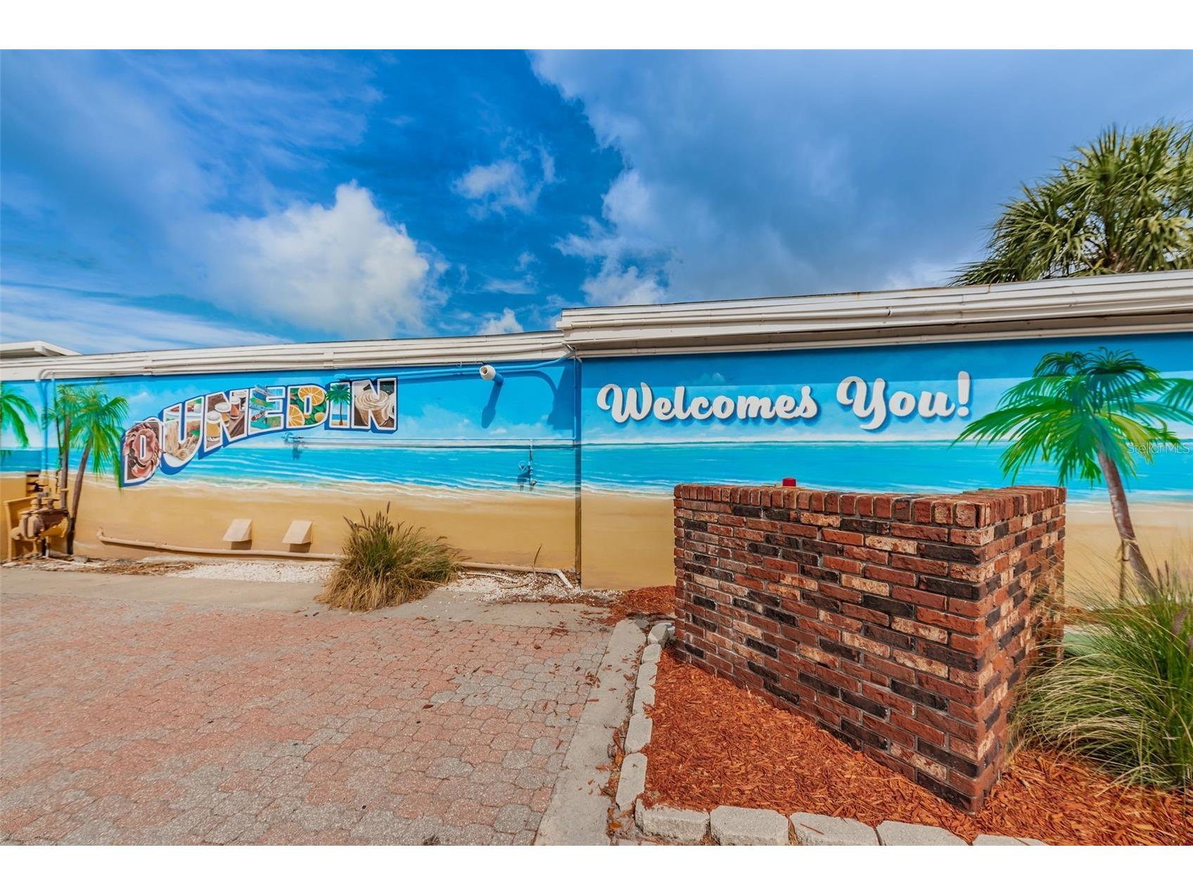 253 Park Circle S Dunedin FL 34698 TB8496788 image55