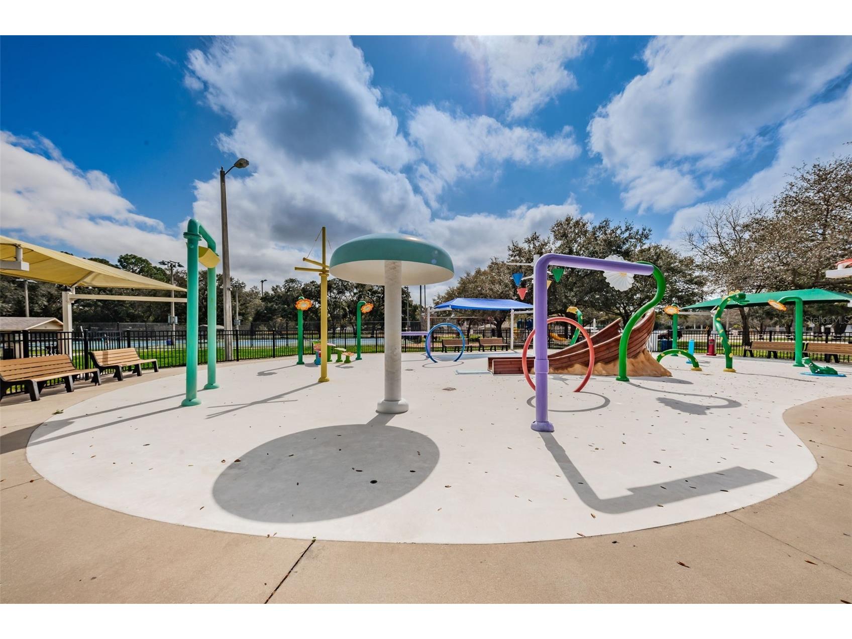 253 Park Circle S Dunedin FL 34698 TB8496788 image64