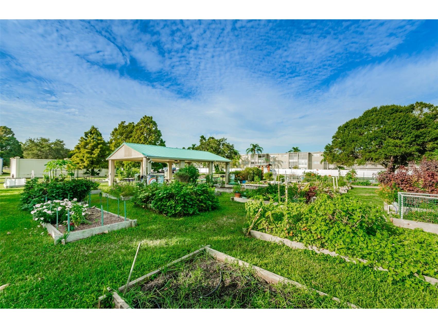 253 Park Circle S Dunedin FL 34698 TB8496788 image68
