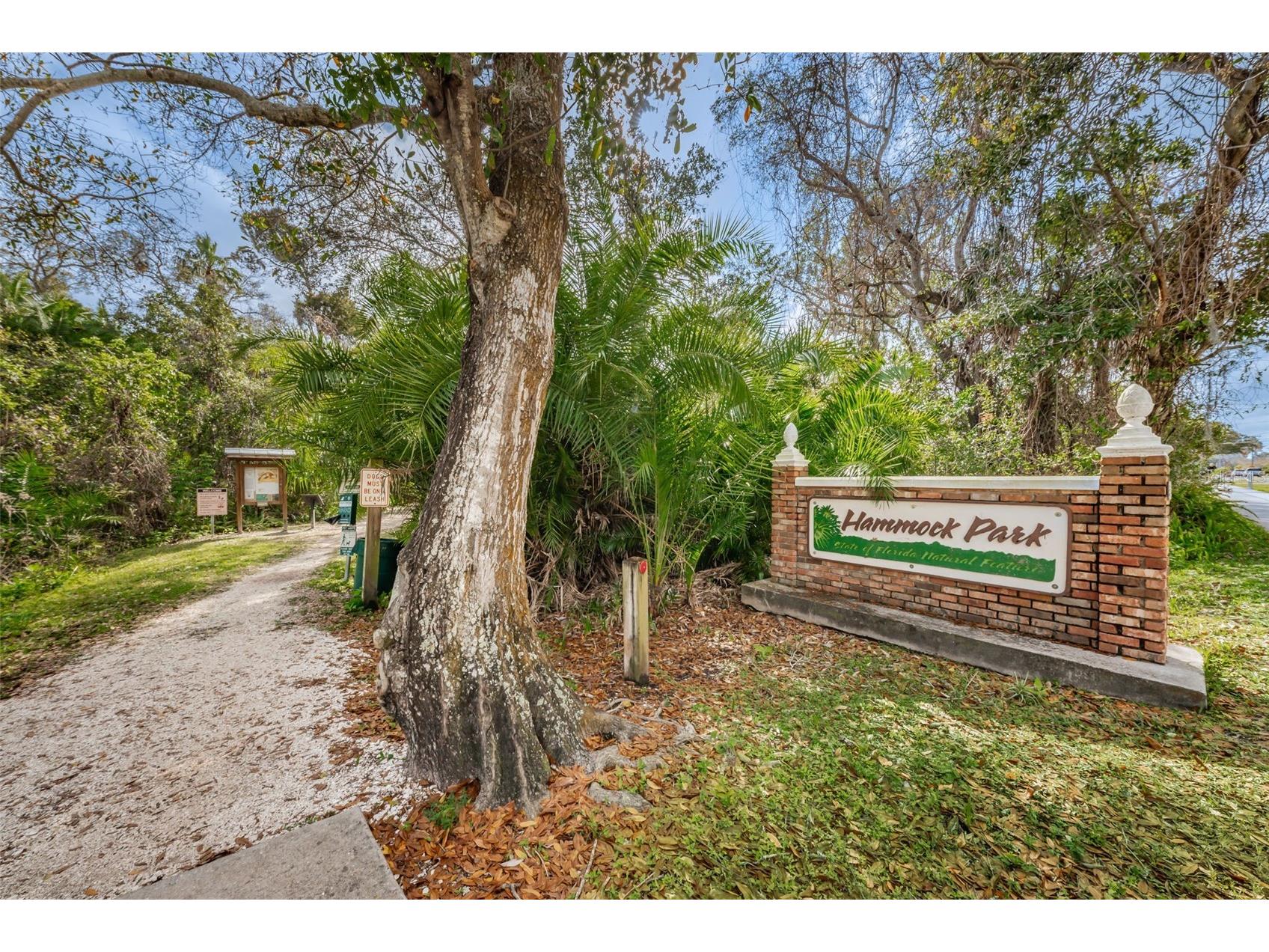 253 Park Circle S Dunedin FL 34698 TB8496788 image69