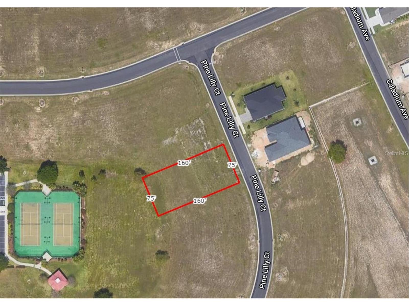 253 Pine Lilly Court Lake Alfred FL 33850 S5145809 image1
