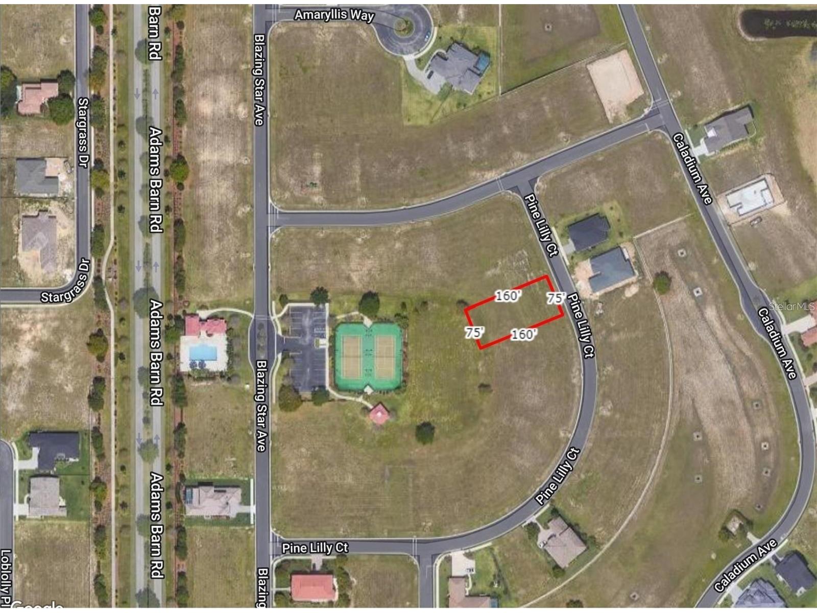 253 Pine Lilly Court Lake Alfred FL 33850 S5145809 image2