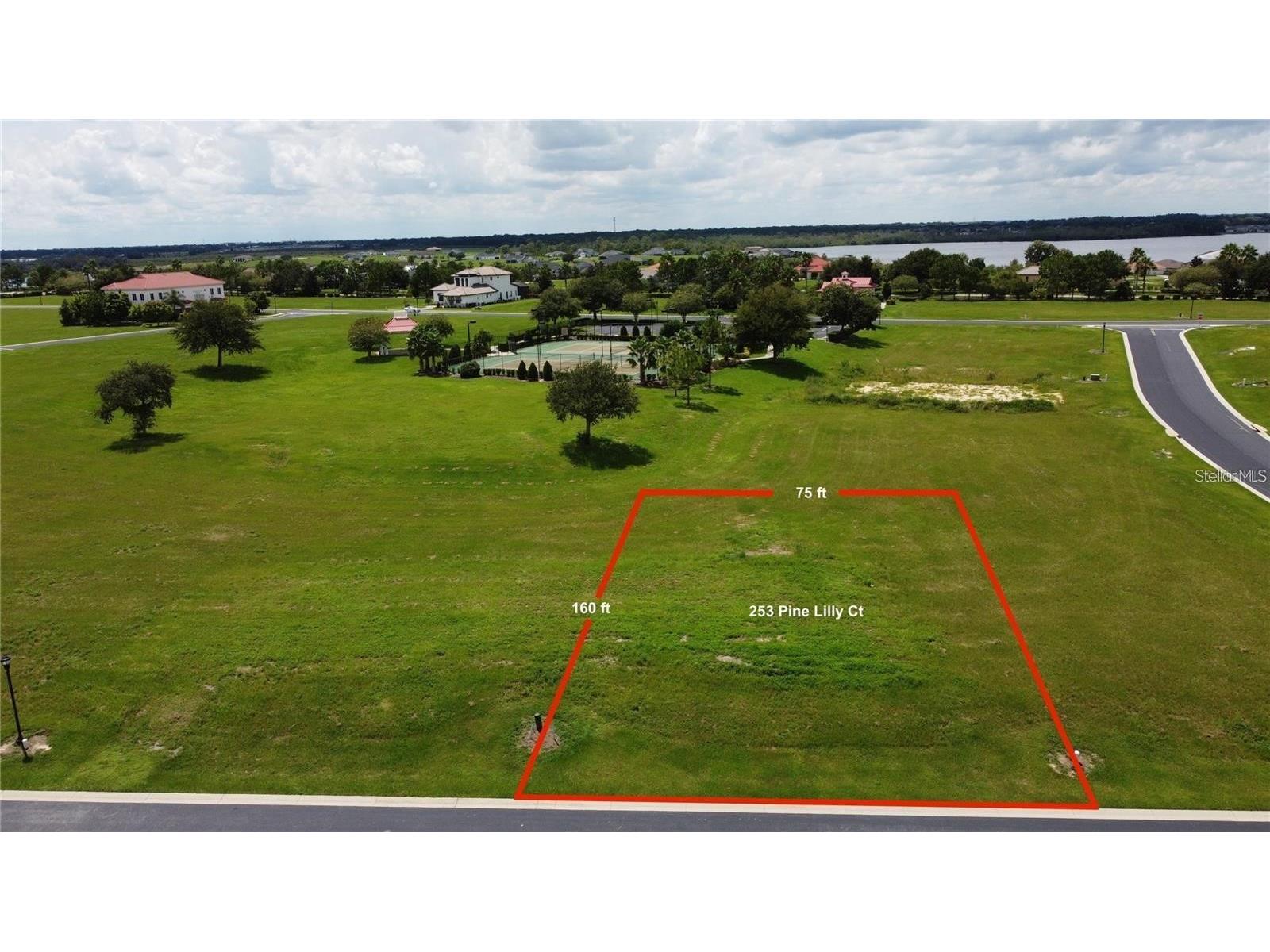 253 Pine Lilly Court Lake Alfred FL 33850 S5145809 image3