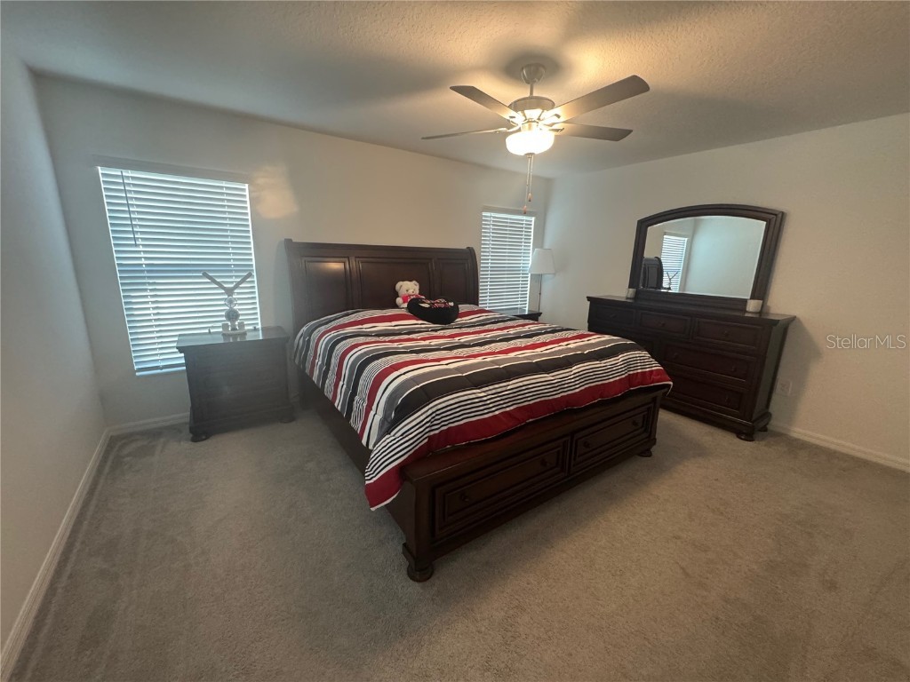 253 Rain Lily Avenue Spring Hill FL 34609 TB8439857 image11