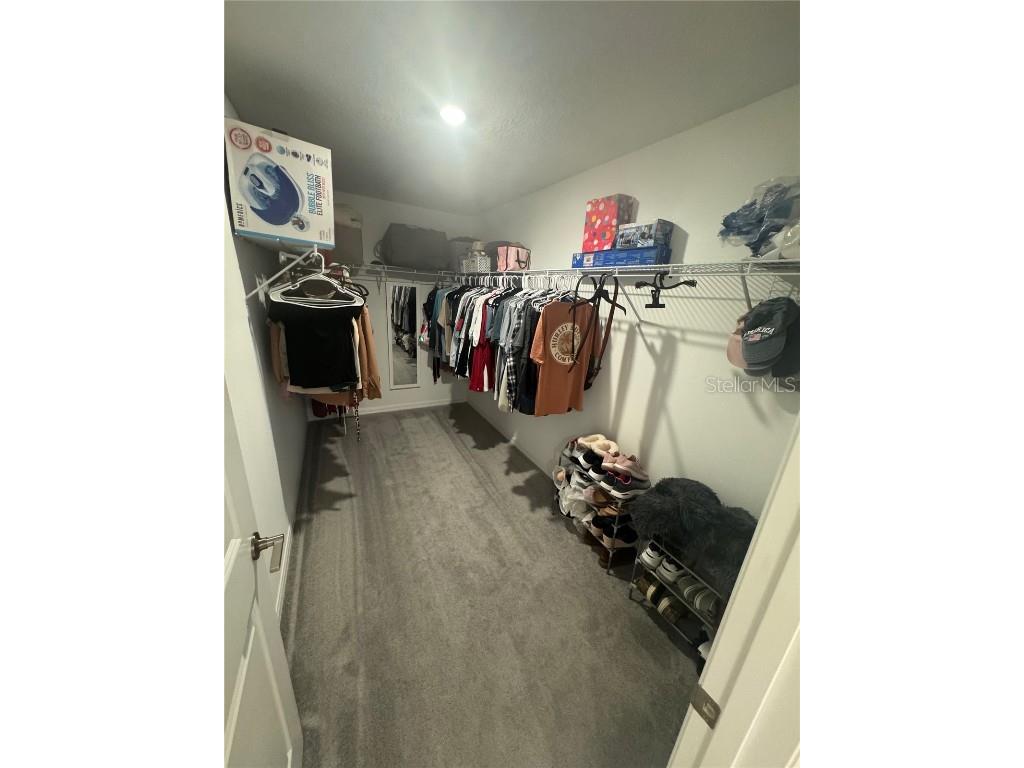 253 Rain Lily Avenue Spring Hill FL 34609 TB8439857 image15