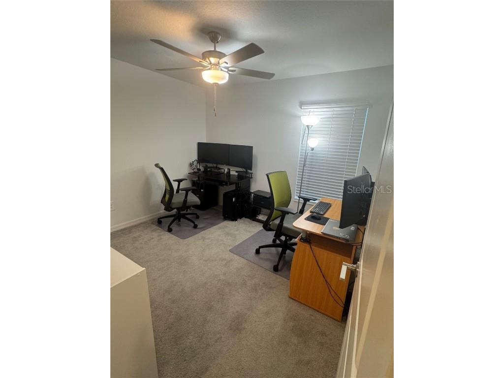 253 Rain Lily Avenue Spring Hill FL 34609 TB8439857 image21