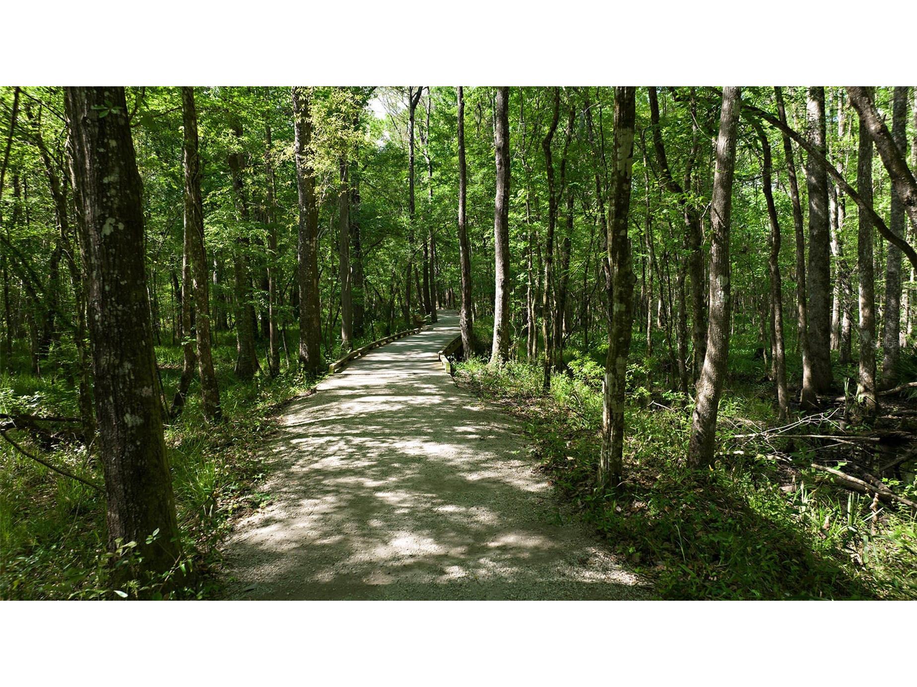 253 Ridgewind Drive Saint Augustine FL 32092 G5101430 image62