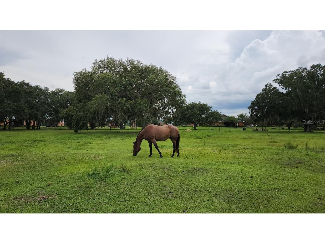 253 Saddle Lane River Ranch FL 33867 TB8347383 image13