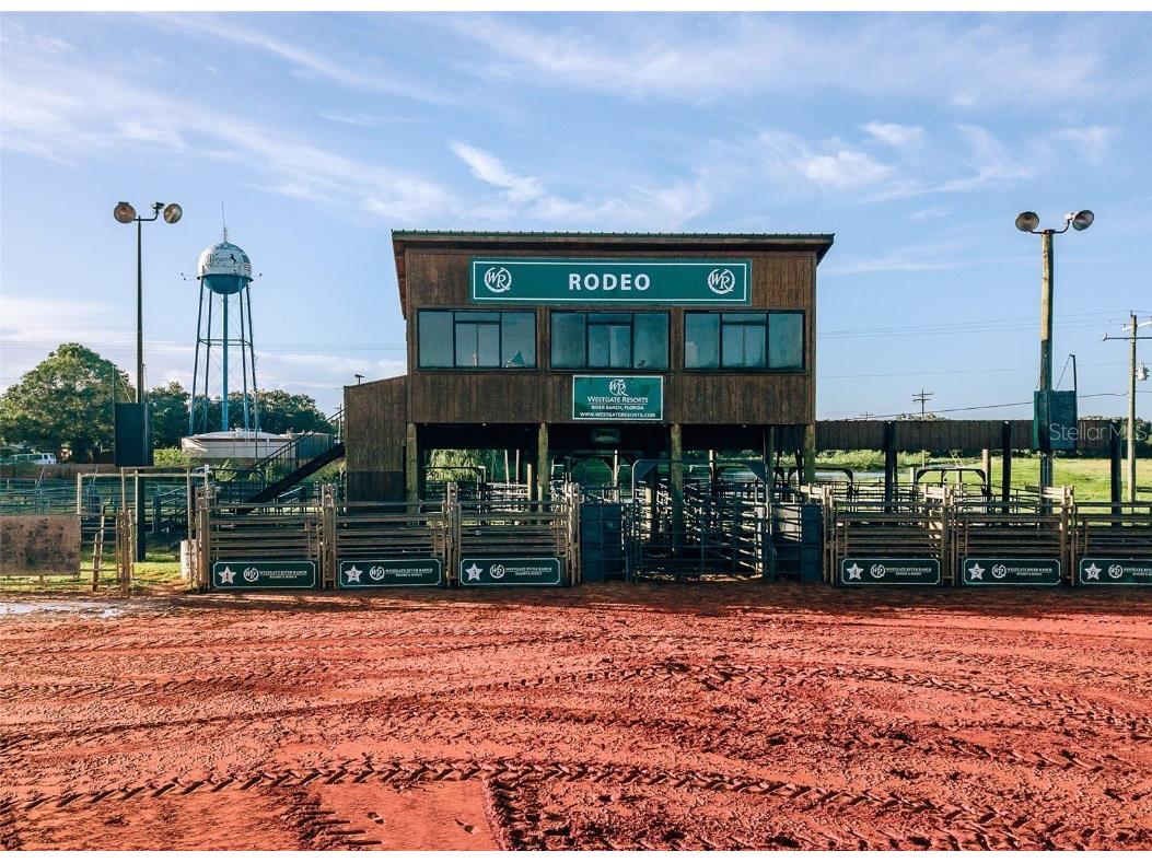 253 Saddle Lane River Ranch FL 33867 TB8347383 image18