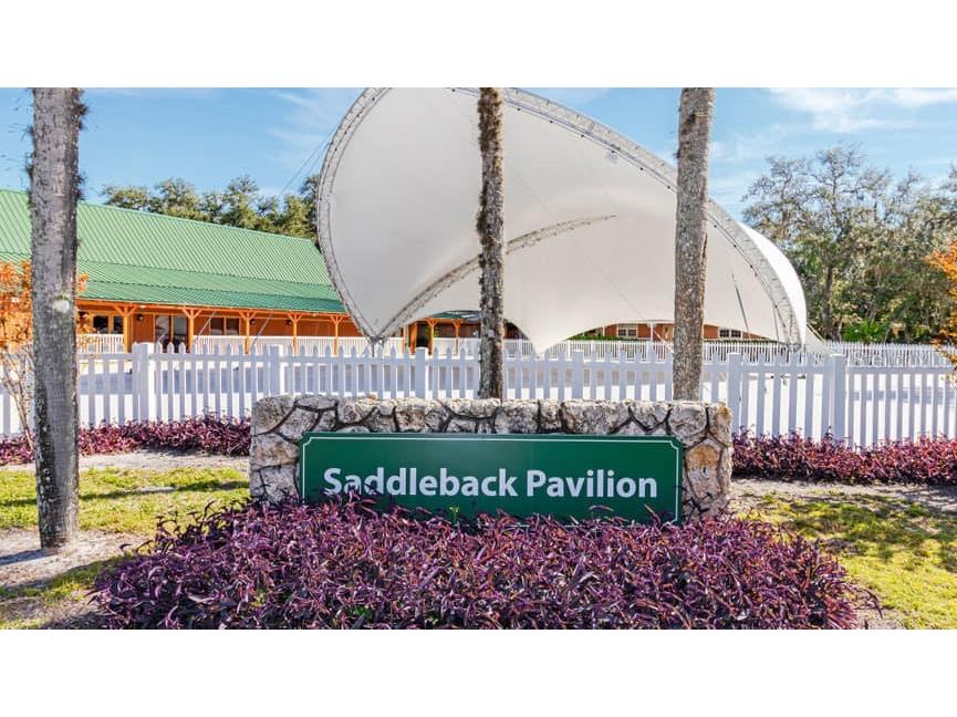 253 Saddle Lane River Ranch FL 33867 TB8347383 image29