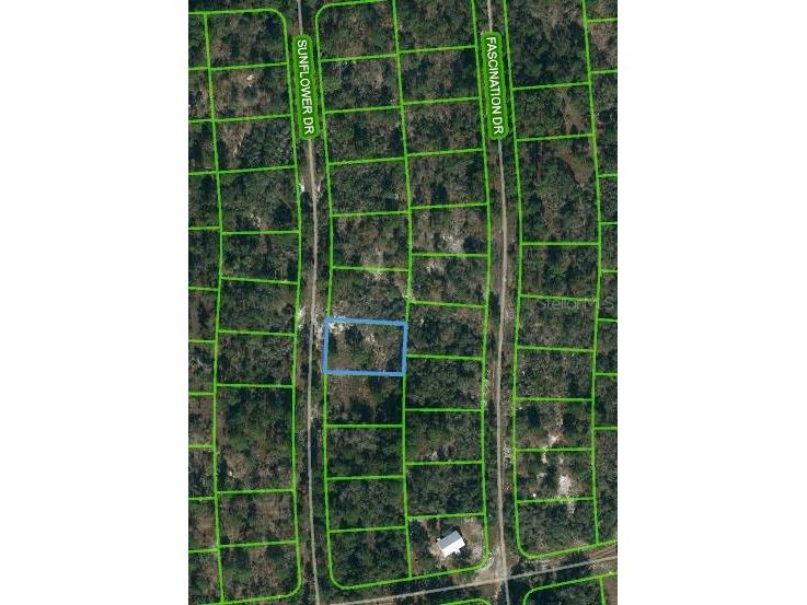 253 Sunflower Avenue Lake Placid FL 33852 OM621161 image1