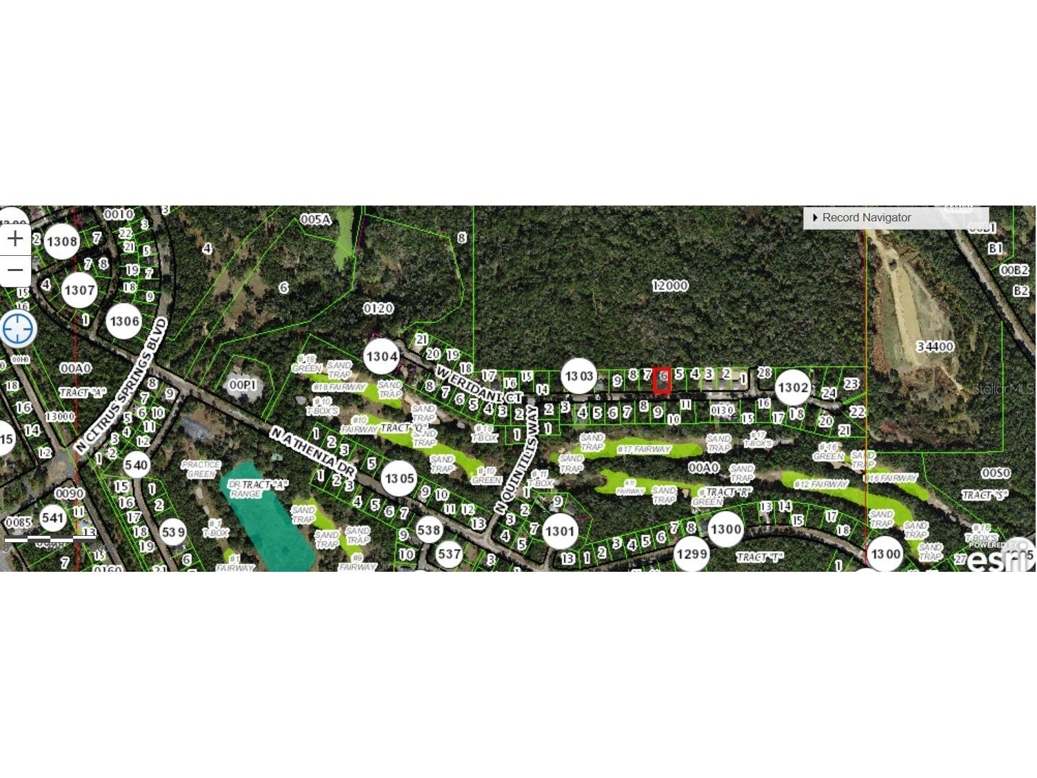 253 W Eridani Ct Citrus Springs FL 34434 C7498921 image1