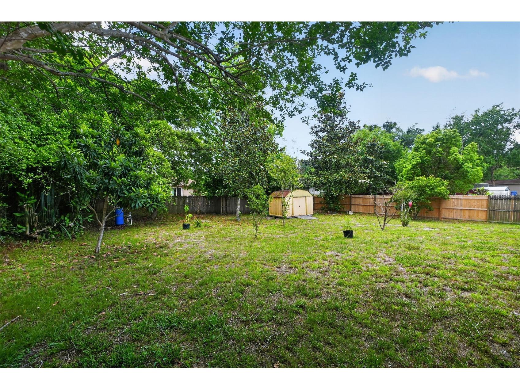 253 Williams Avenue Orange City FL 32763 V4948946 image25