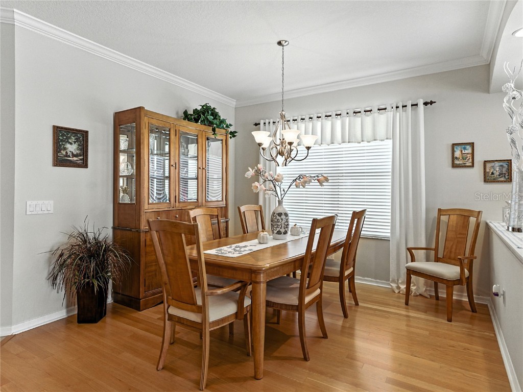 2530 Cross More Street Valrico FL 33594 TB8417278 image20