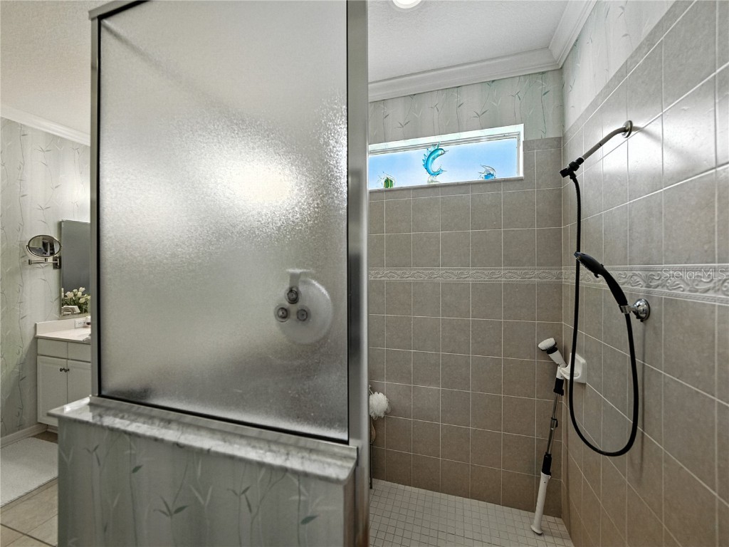 2530 Cross More Street Valrico FL 33594 TB8417278 image47