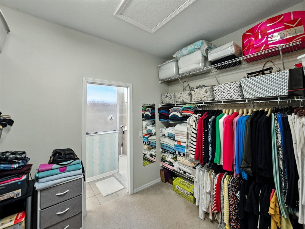 2530 Cross More Street Valrico FL 33594 TB8417278 image49