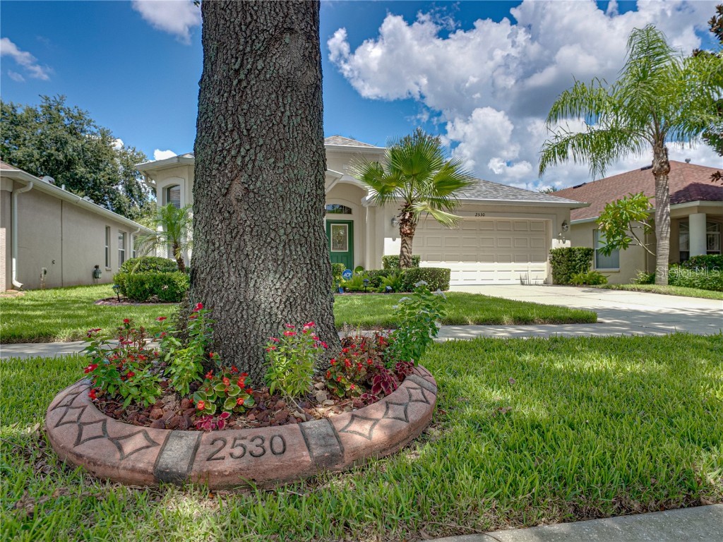 2530 Cross More Street Valrico FL 33594 TB8417278 image6