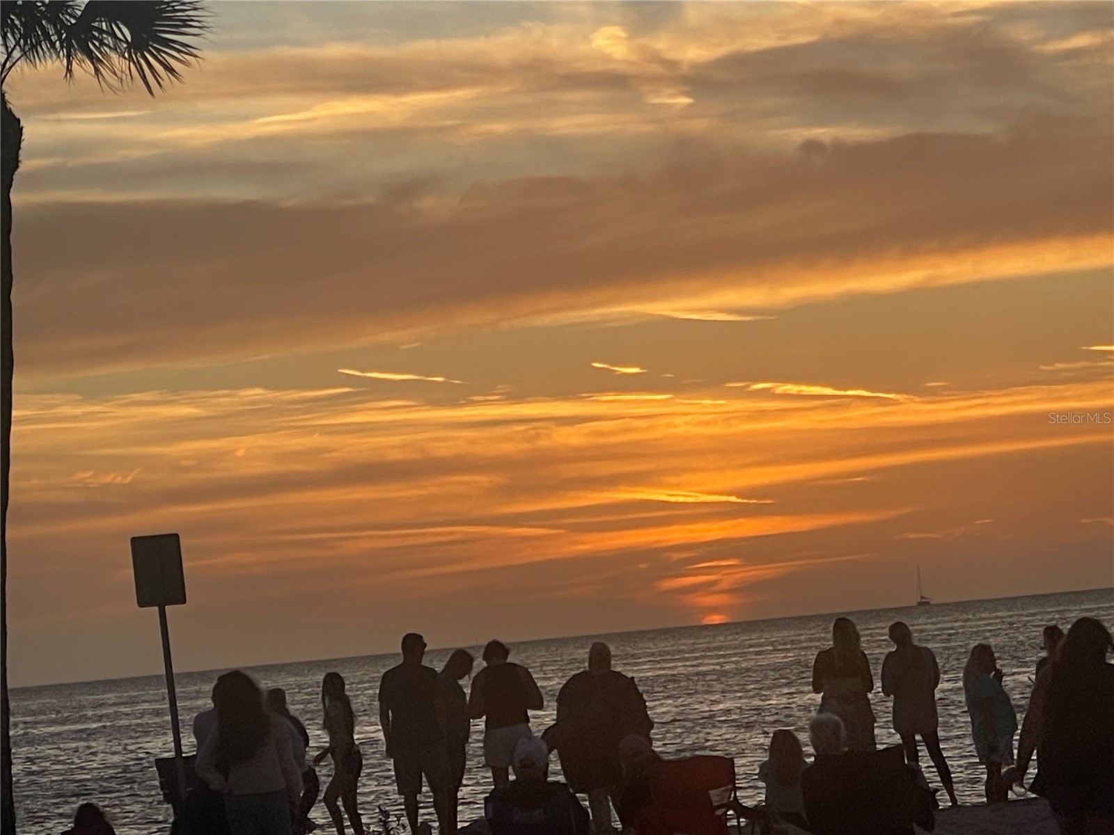 2530 Gary Circle #802 Dunedin FL 34698 TB8498208 image28