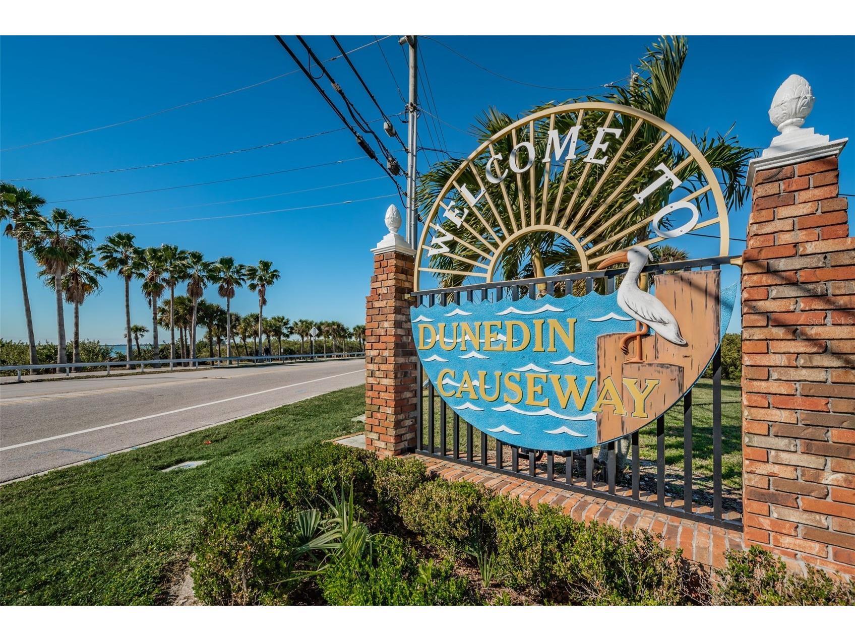 2530 Gary Circle #802 Dunedin FL 34698 TB8498208 image42