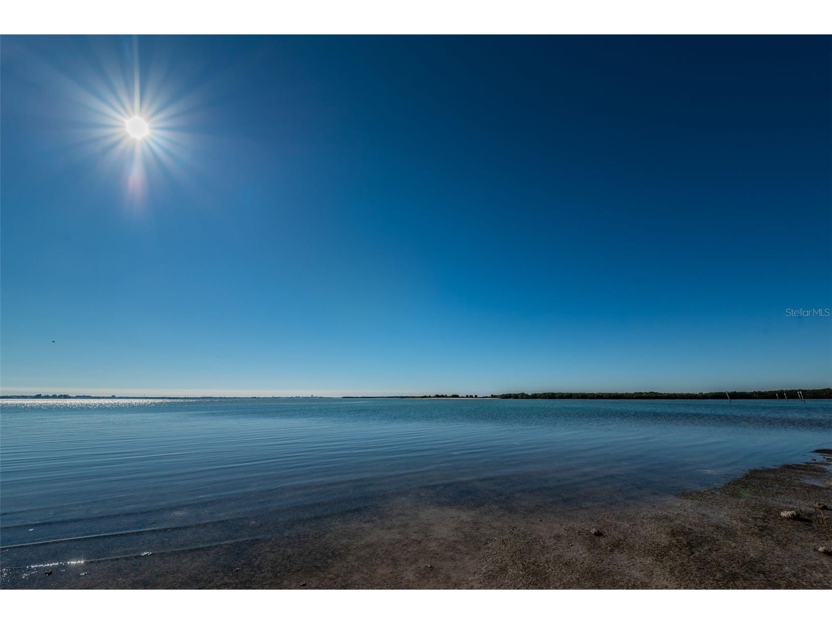 2530 Gary Circle #802 Dunedin FL 34698 TB8498208 image46