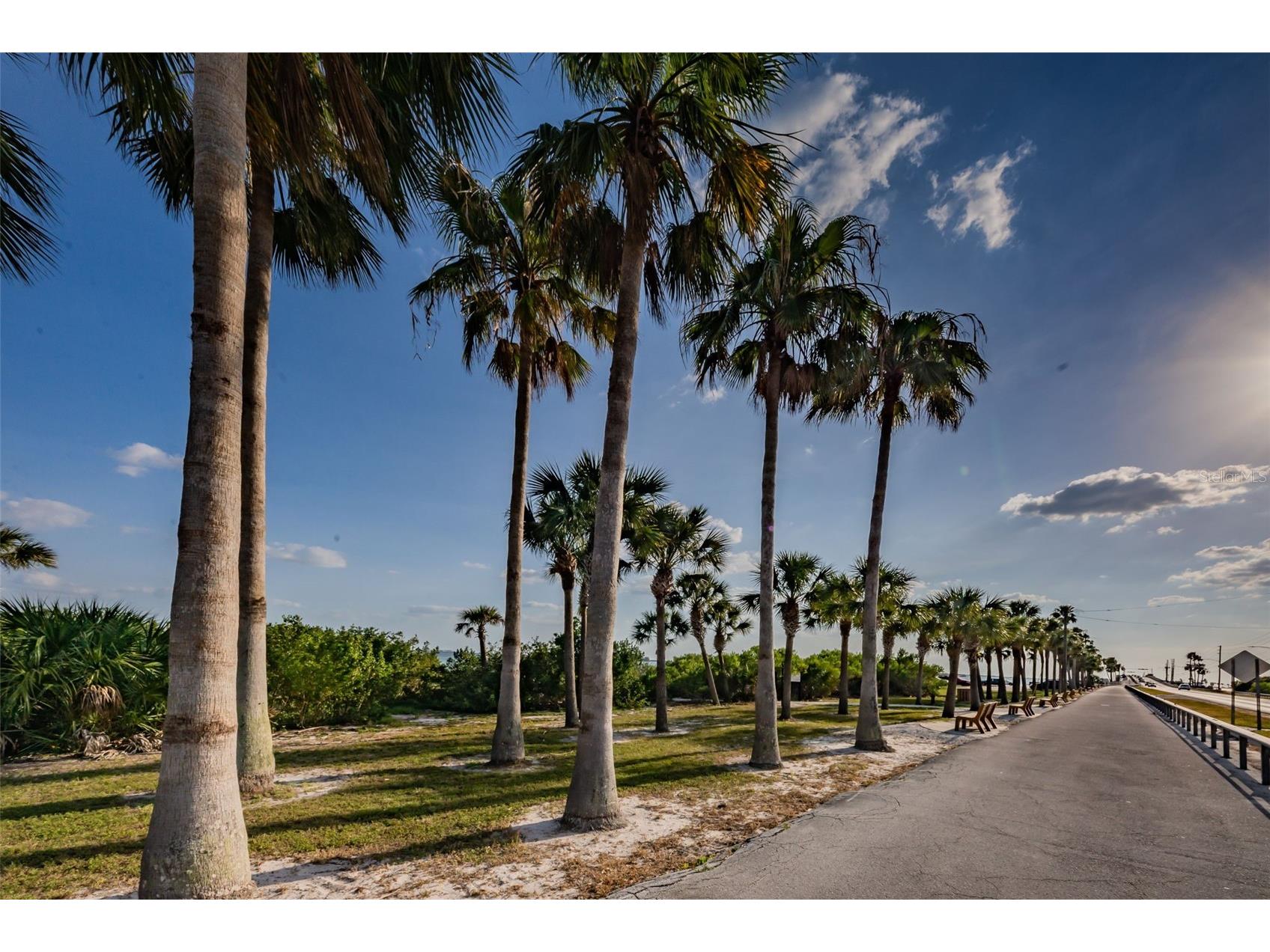 2530 Gary Circle #802 Dunedin FL 34698 TB8498208 image48