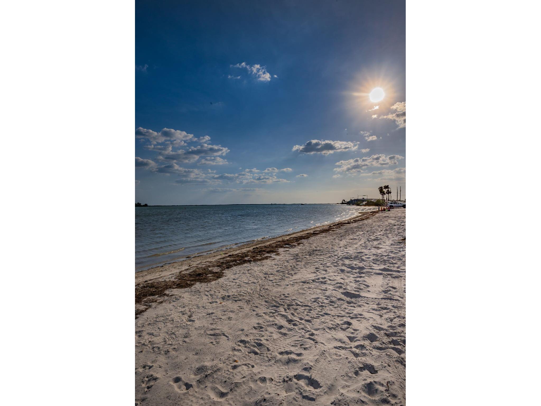 2530 Gary Circle #802 Dunedin FL 34698 TB8498208 image50