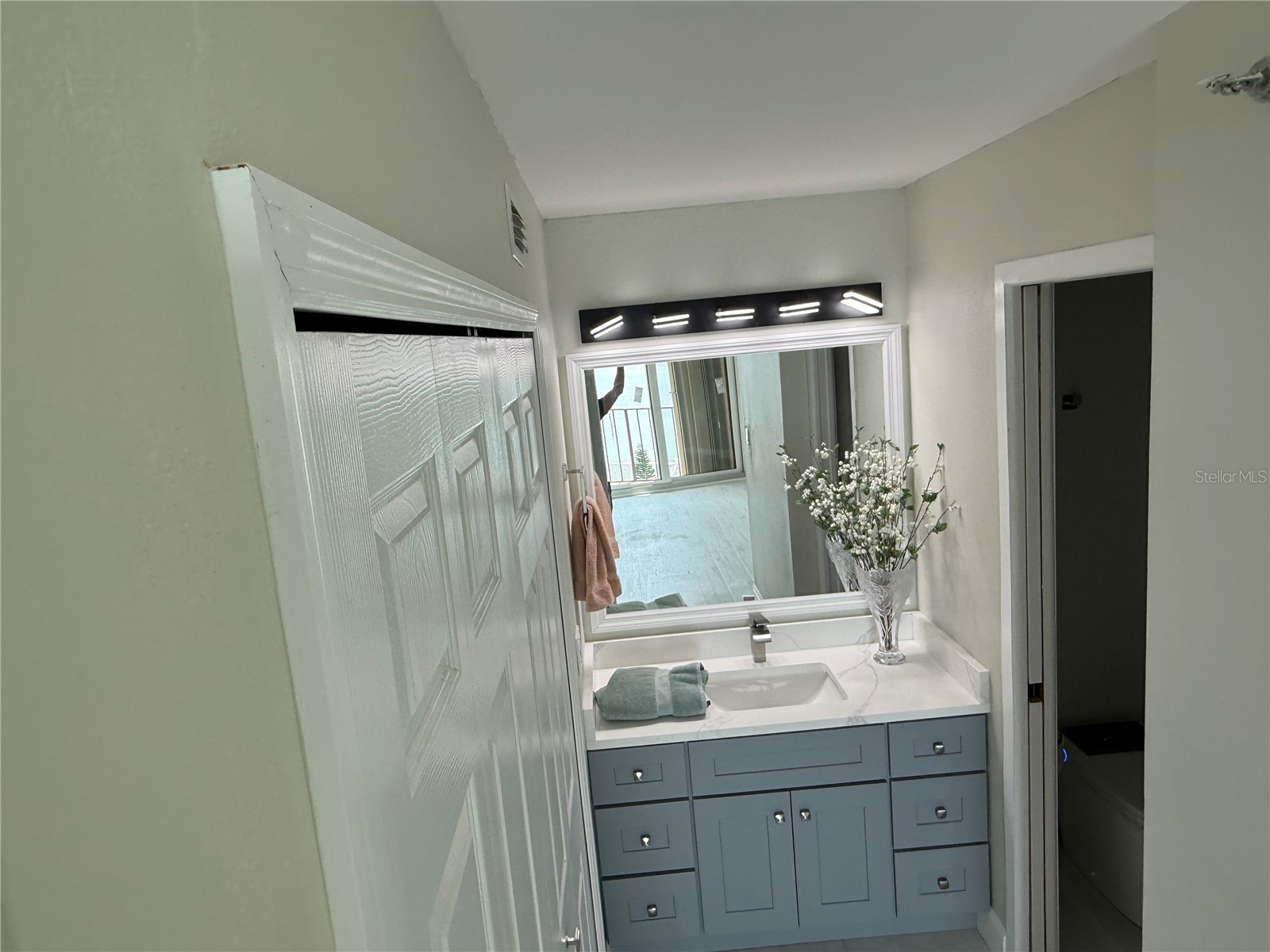 2530 Gary Circle #802 Dunedin FL 34698 TB8499111 image28