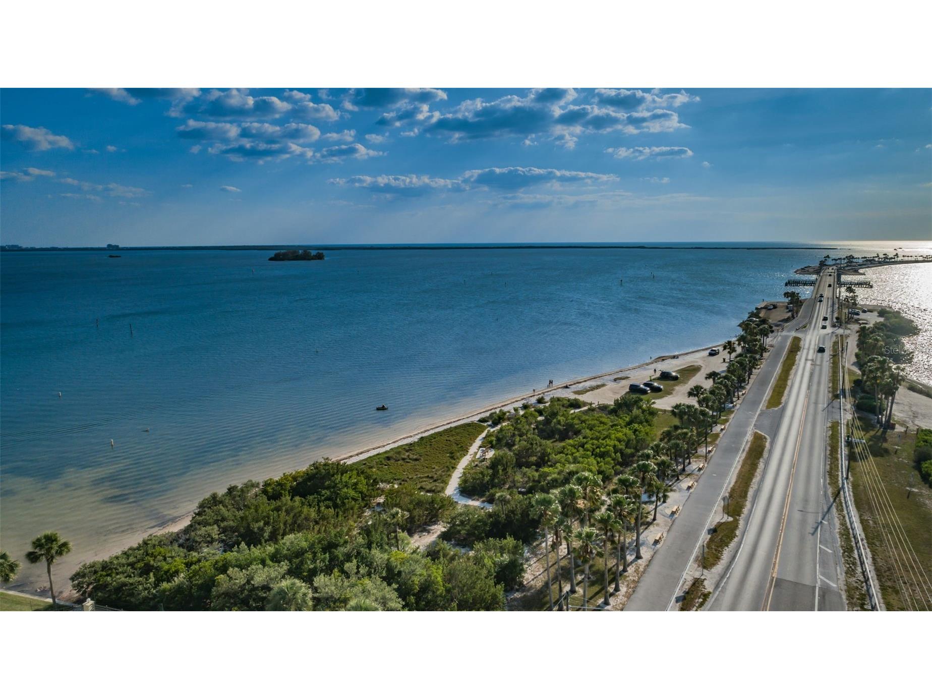 2530 Gary Circle #802 Dunedin FL 34698 TB8499111 image42