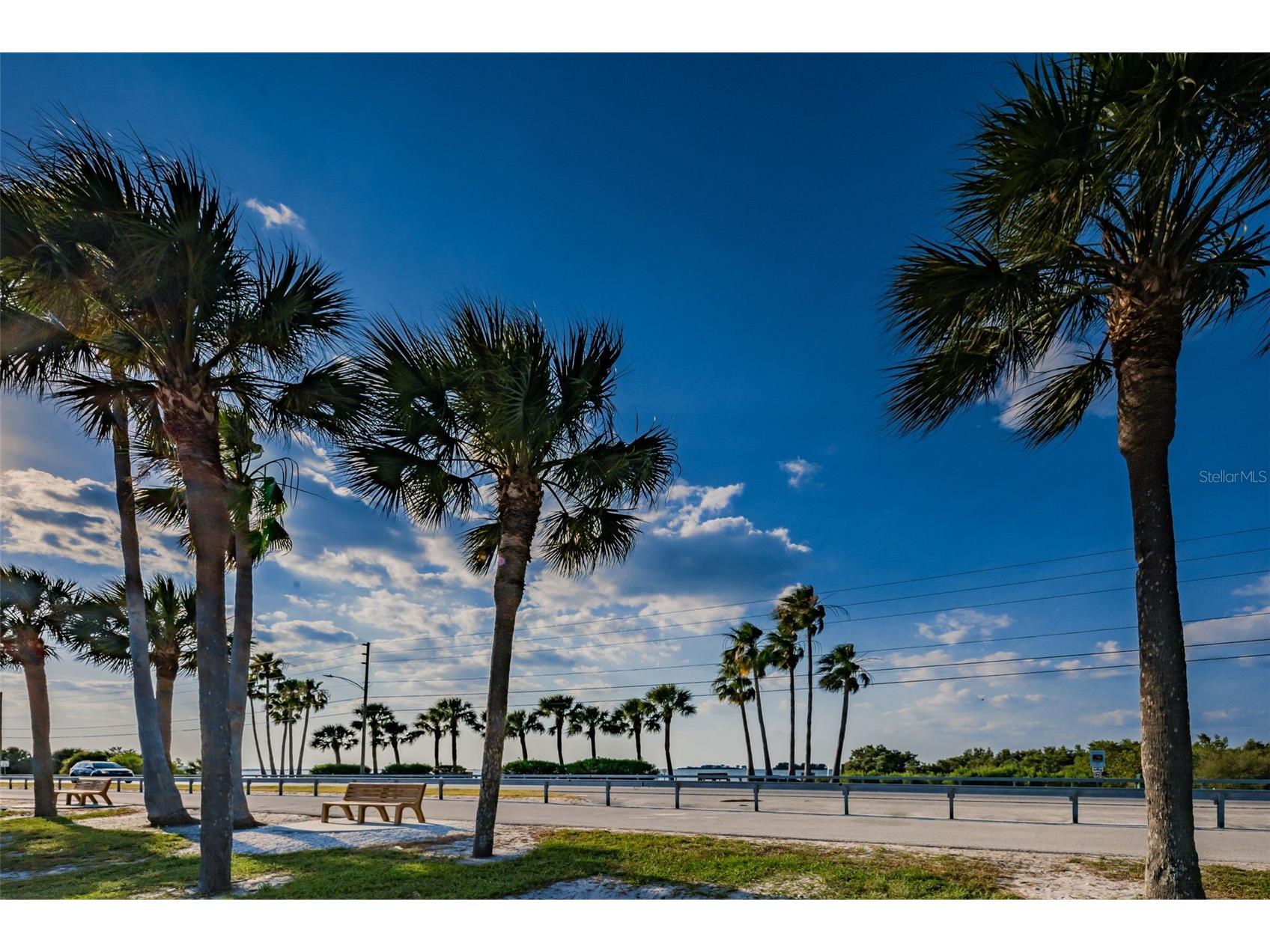 2530 Gary Circle #802 Dunedin FL 34698 TB8499111 image44