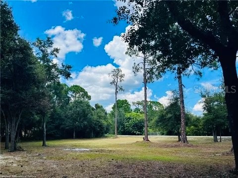 2530 N Mohawk Drive W Avon Park FL 33825 - LAKE ADELAIDE TB8353854 image1