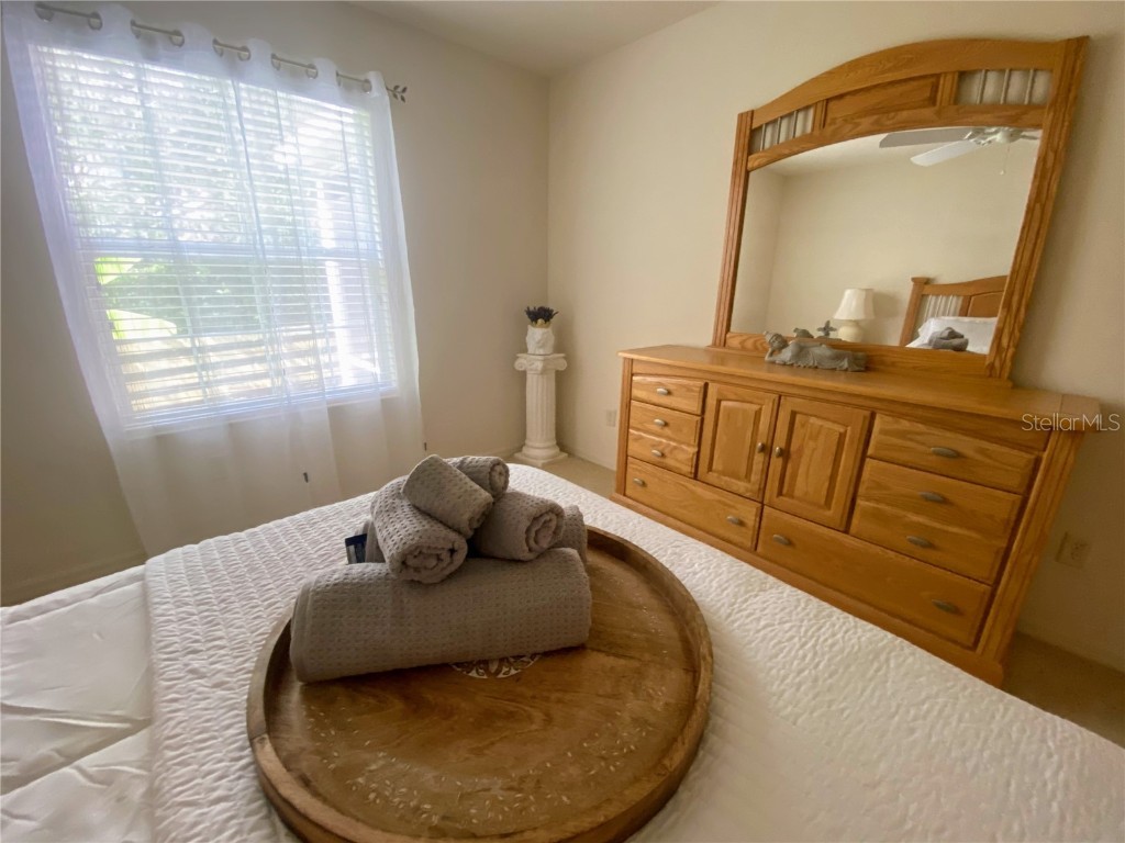 2530 Saffron Lane The Villages FL 32162 O6269489 image22