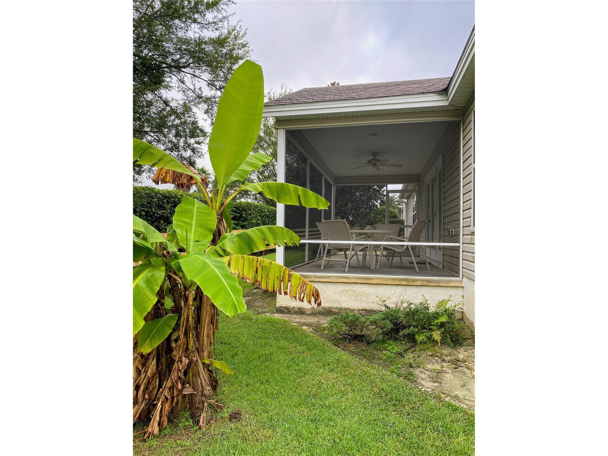2530 Saffron Lane The Villages FL 32162 O6421548 image27