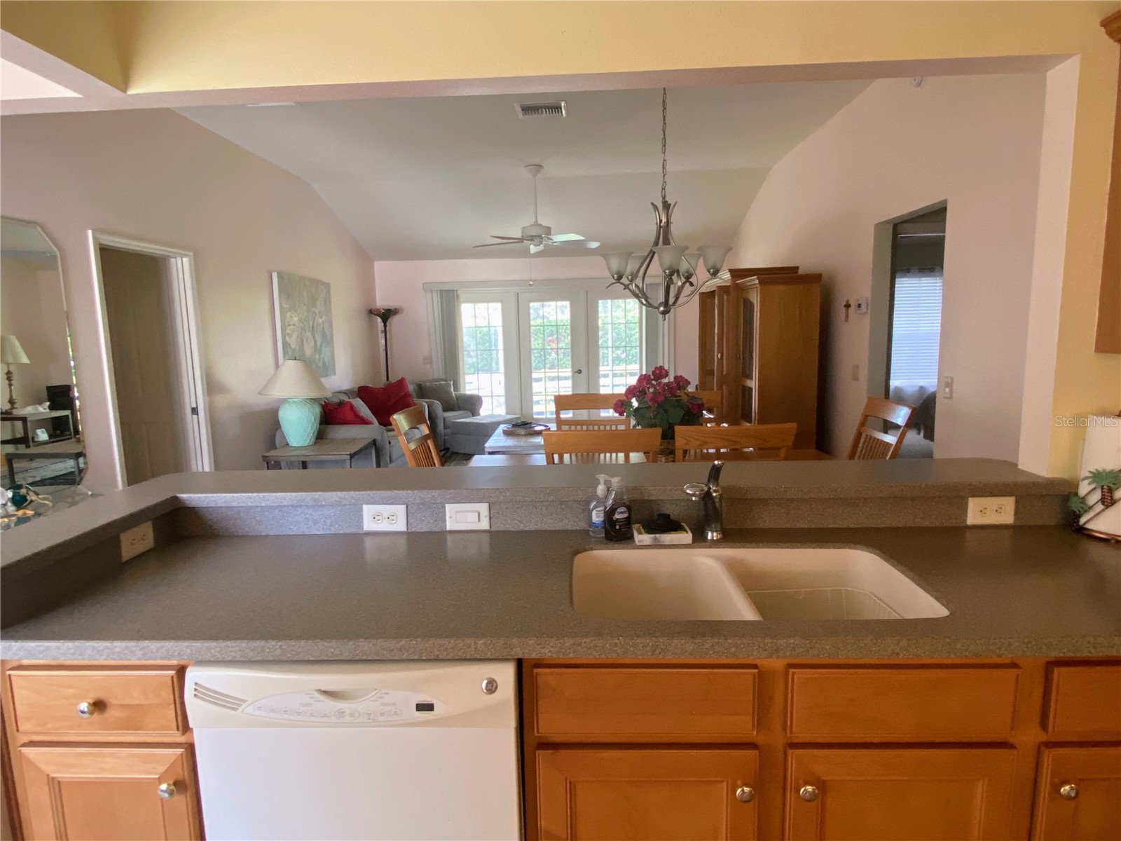 2530 Saffron Lane The Villages FL 32162 O6421548 image9