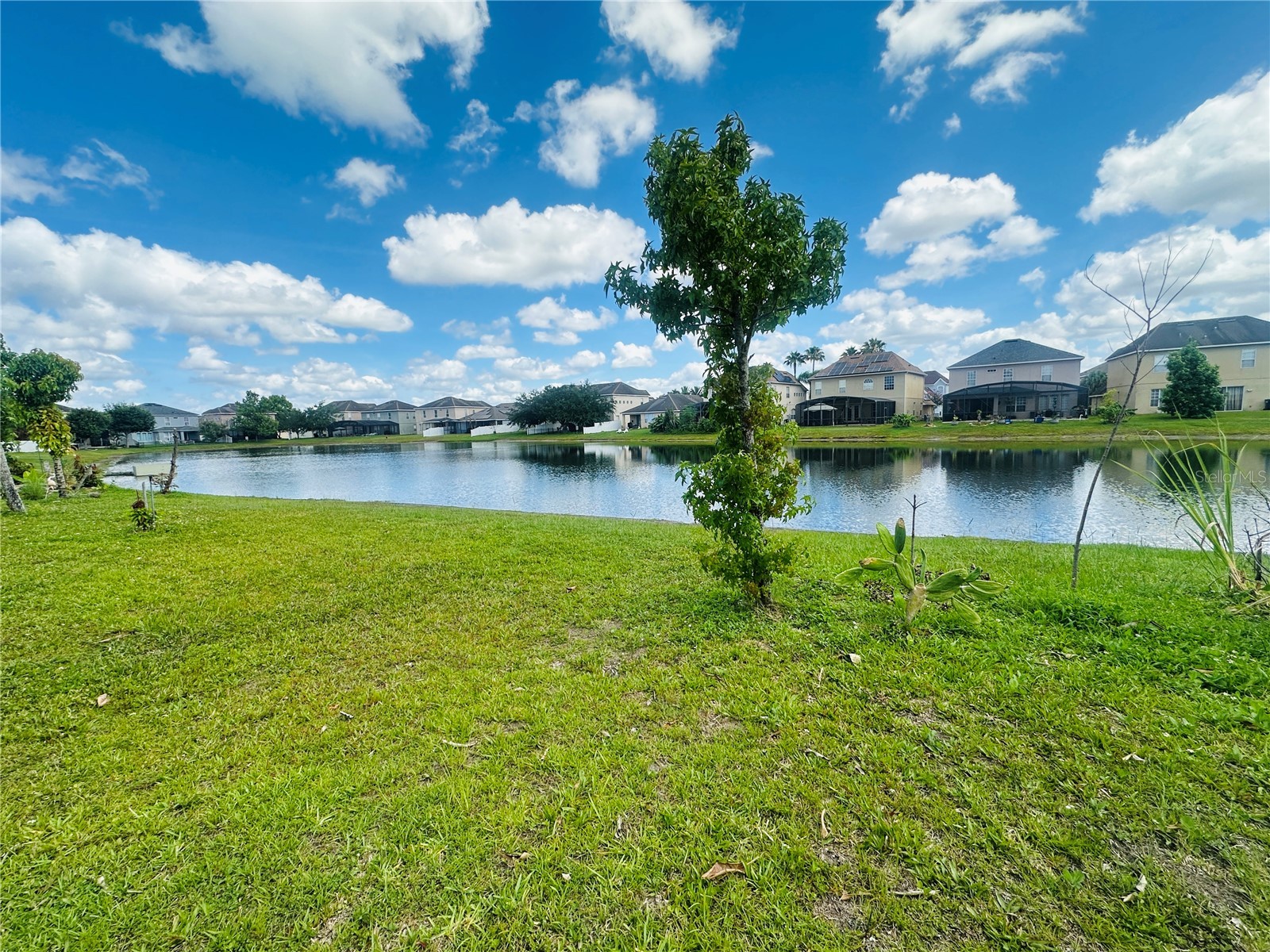 2530 Sand Arbor Circle Orlando FL 32824 S5151163 image20