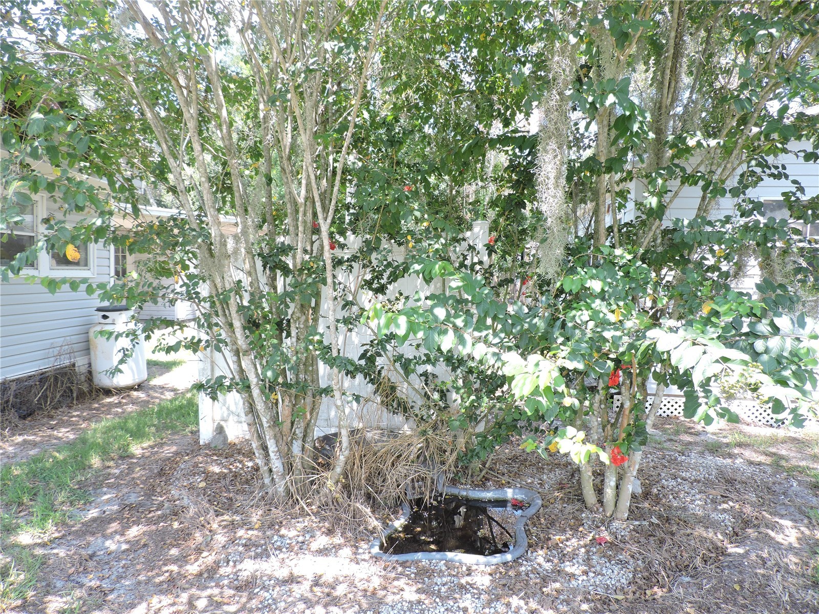 2530 Snapping Turtle Drive Lake Wales FL 33898 K4903023 image31