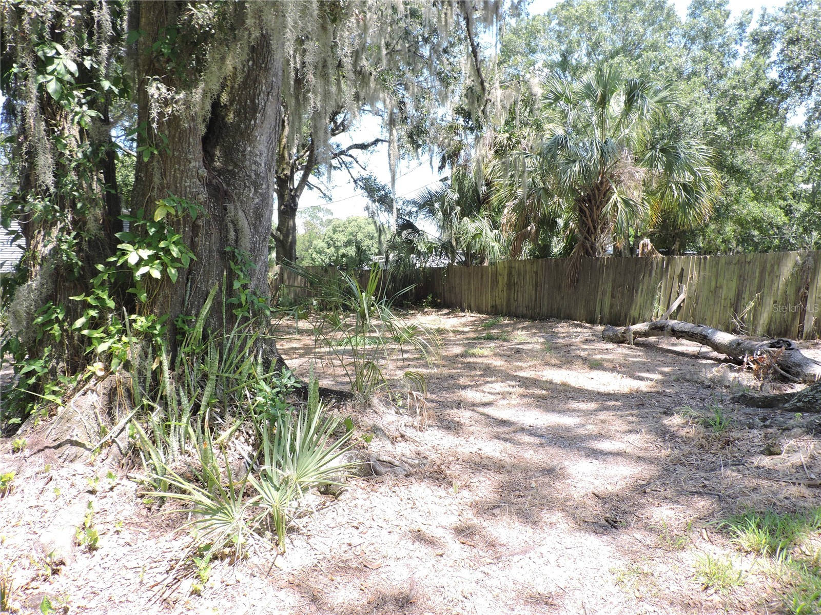 2530 Snapping Turtle Drive Lake Wales FL 33898 K4903023 image35