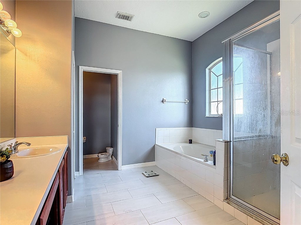 2530 The Oaks Boulevard Kissimmee FL 34746 O6319826 image48