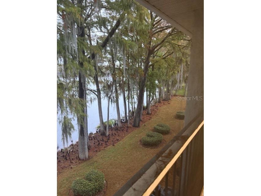 25307 Northlake Drive #307 Sanford FL 32773 - LAKE MINNIE R4910470 image2