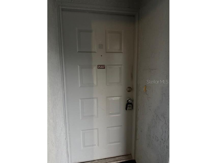 25307 Northlake Drive #307 Sanford FL 32773 - LAKE MINNIE R4910470 image28