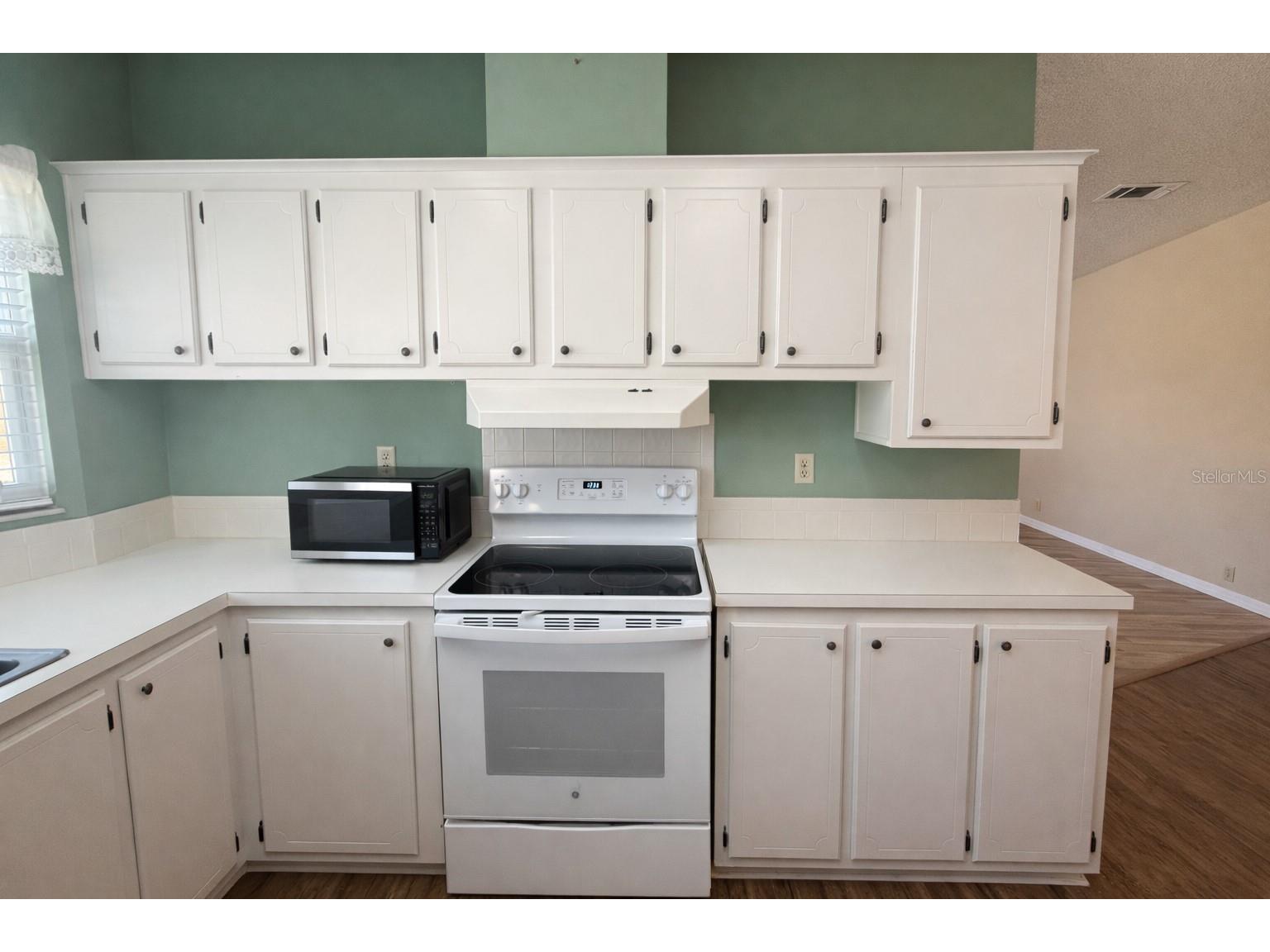 25308 Casa Del Lago Lane Leesburg FL 34748 G5107740 image11