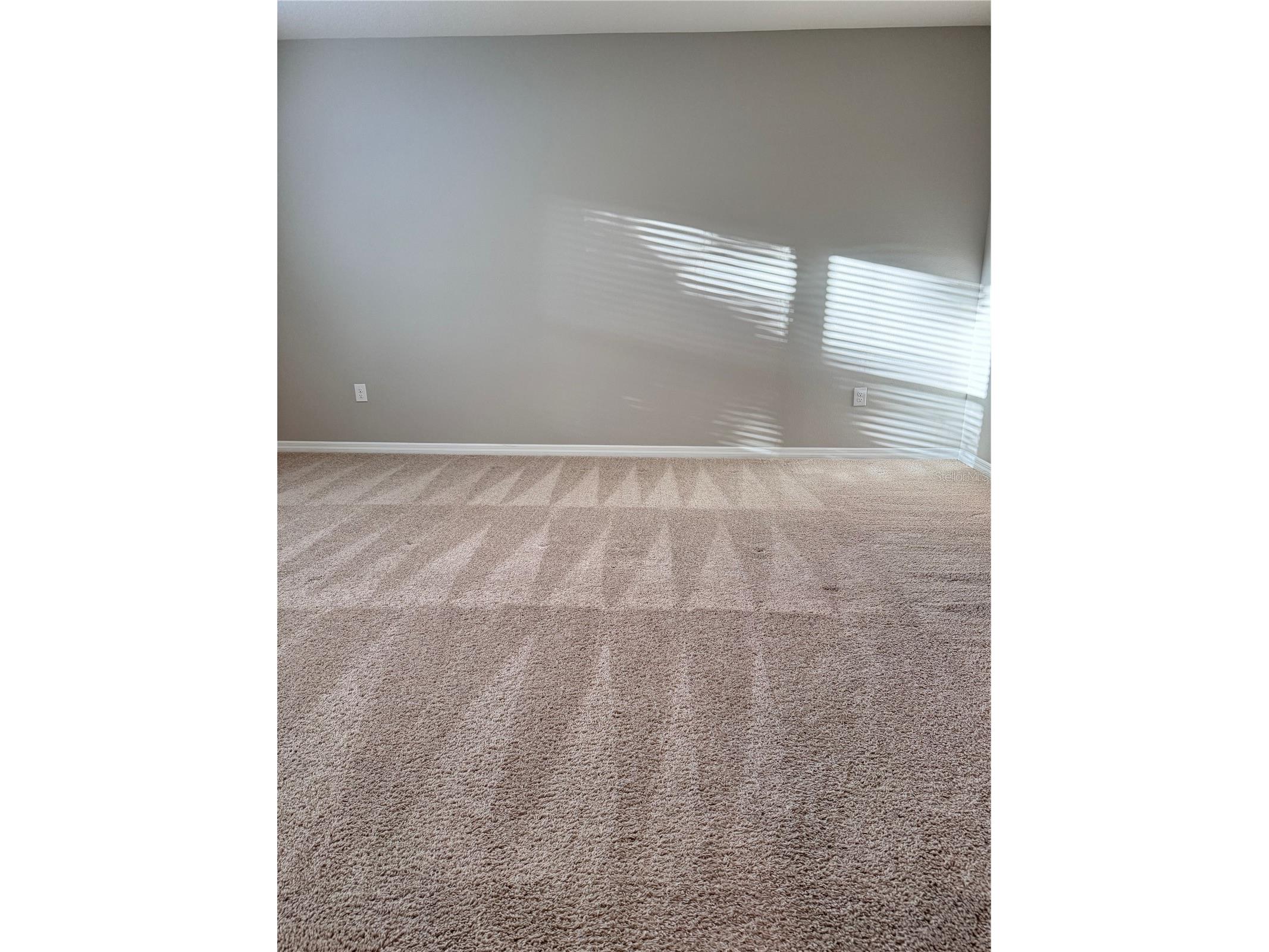 2531 Avalon Park Boulevard Tavares FL 32778 S5148785 image13