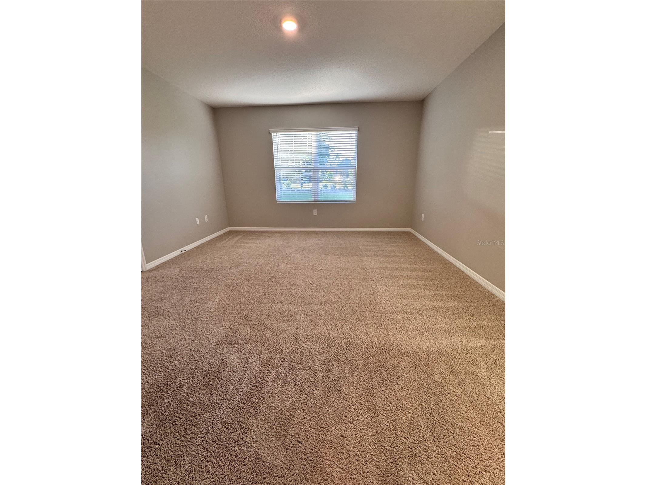 2531 Avalon Park Boulevard Tavares FL 32778 S5148785 image15