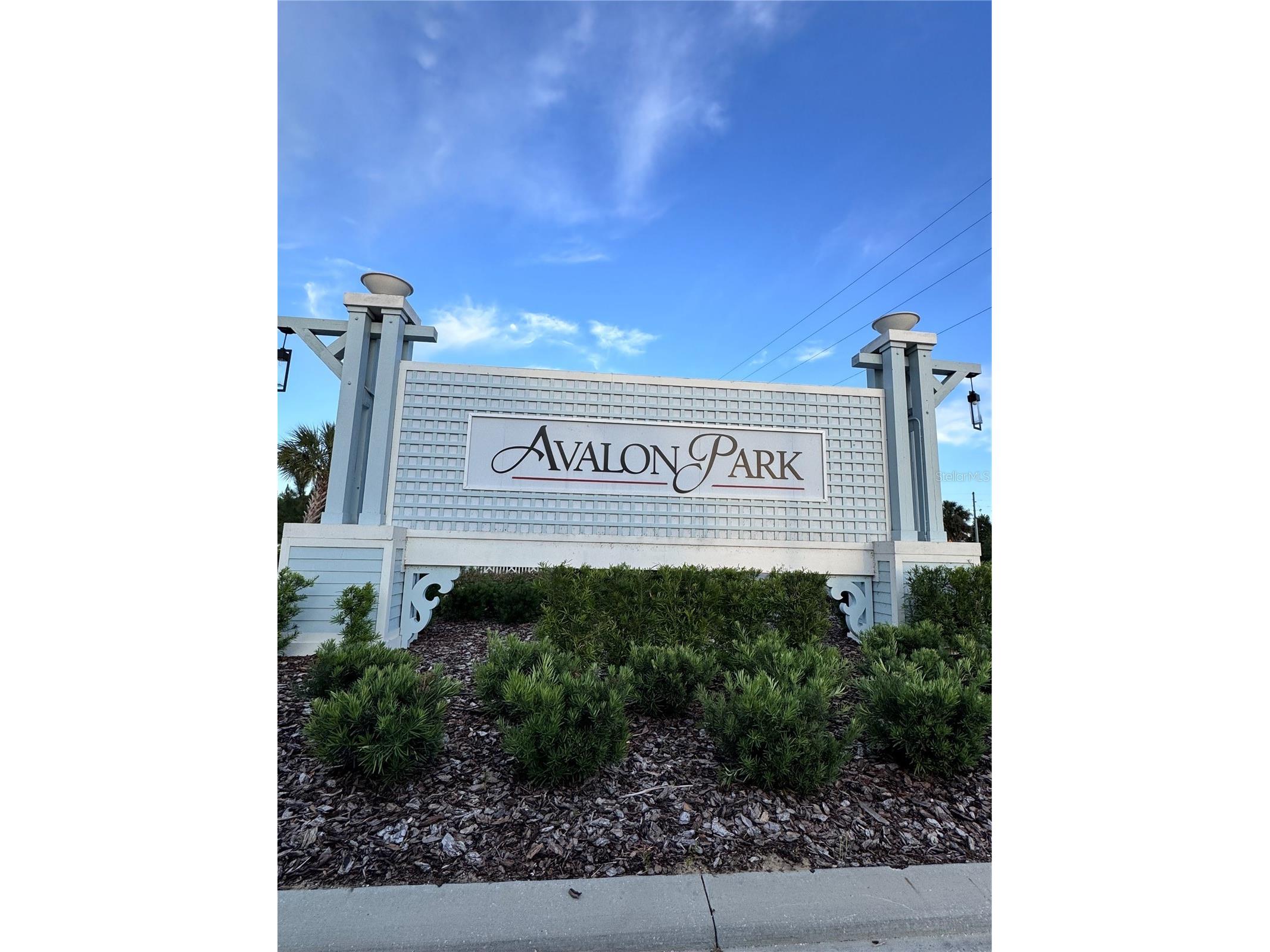 2531 Avalon Park Boulevard Tavares FL 32778 S5148785 image2