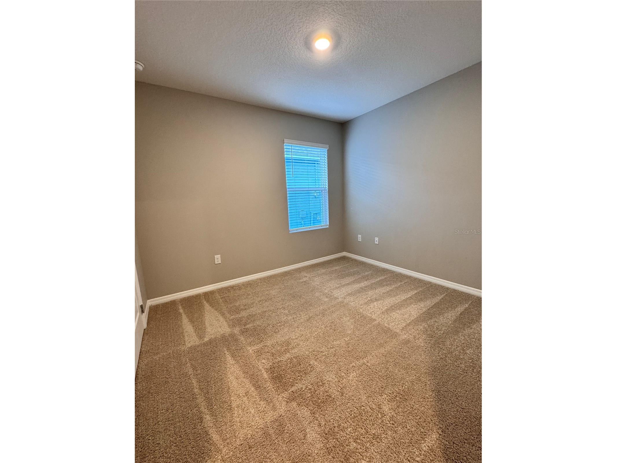 2531 Avalon Park Boulevard Tavares FL 32778 S5148785 image24