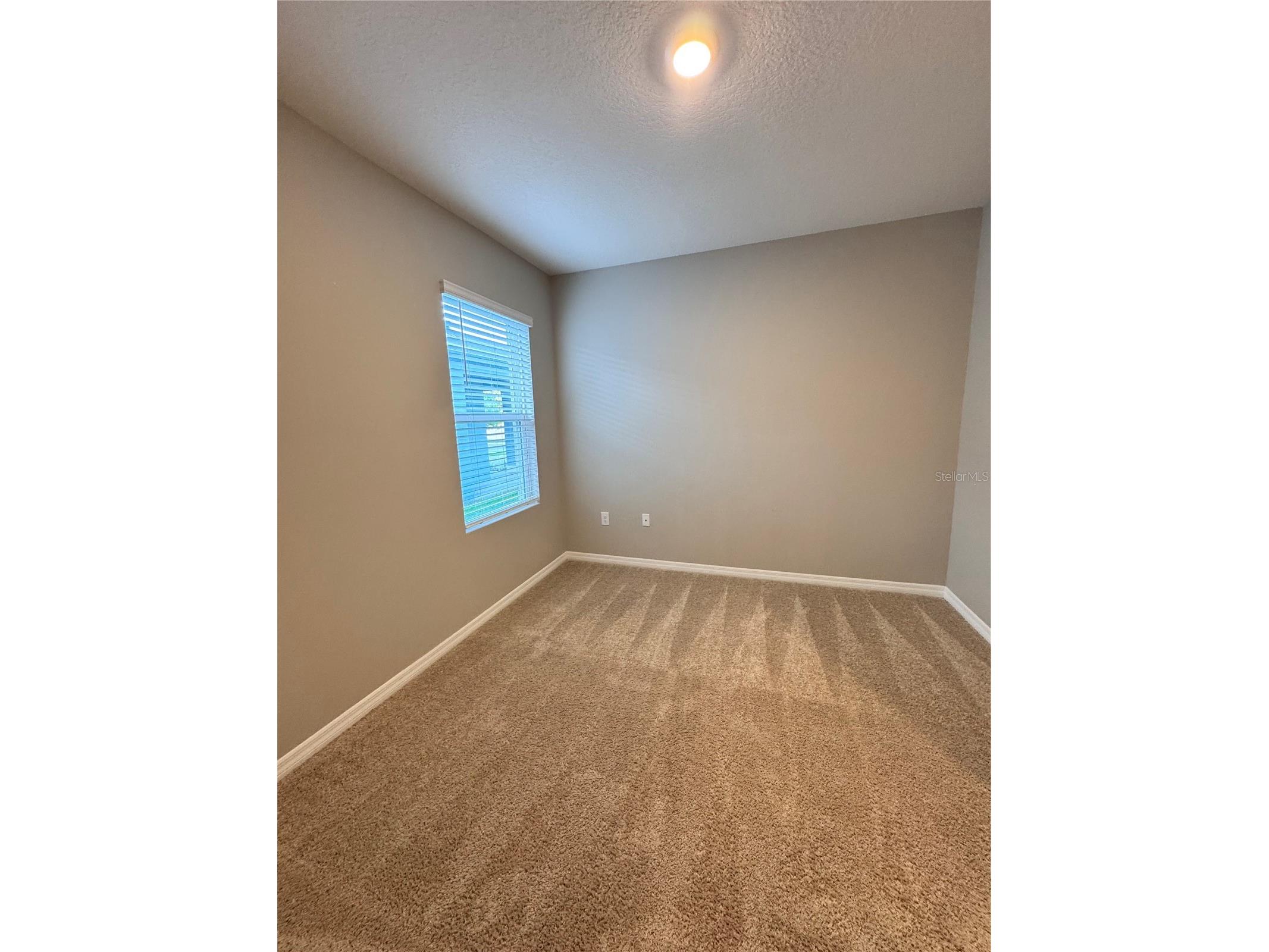 2531 Avalon Park Boulevard Tavares FL 32778 S5148785 image26