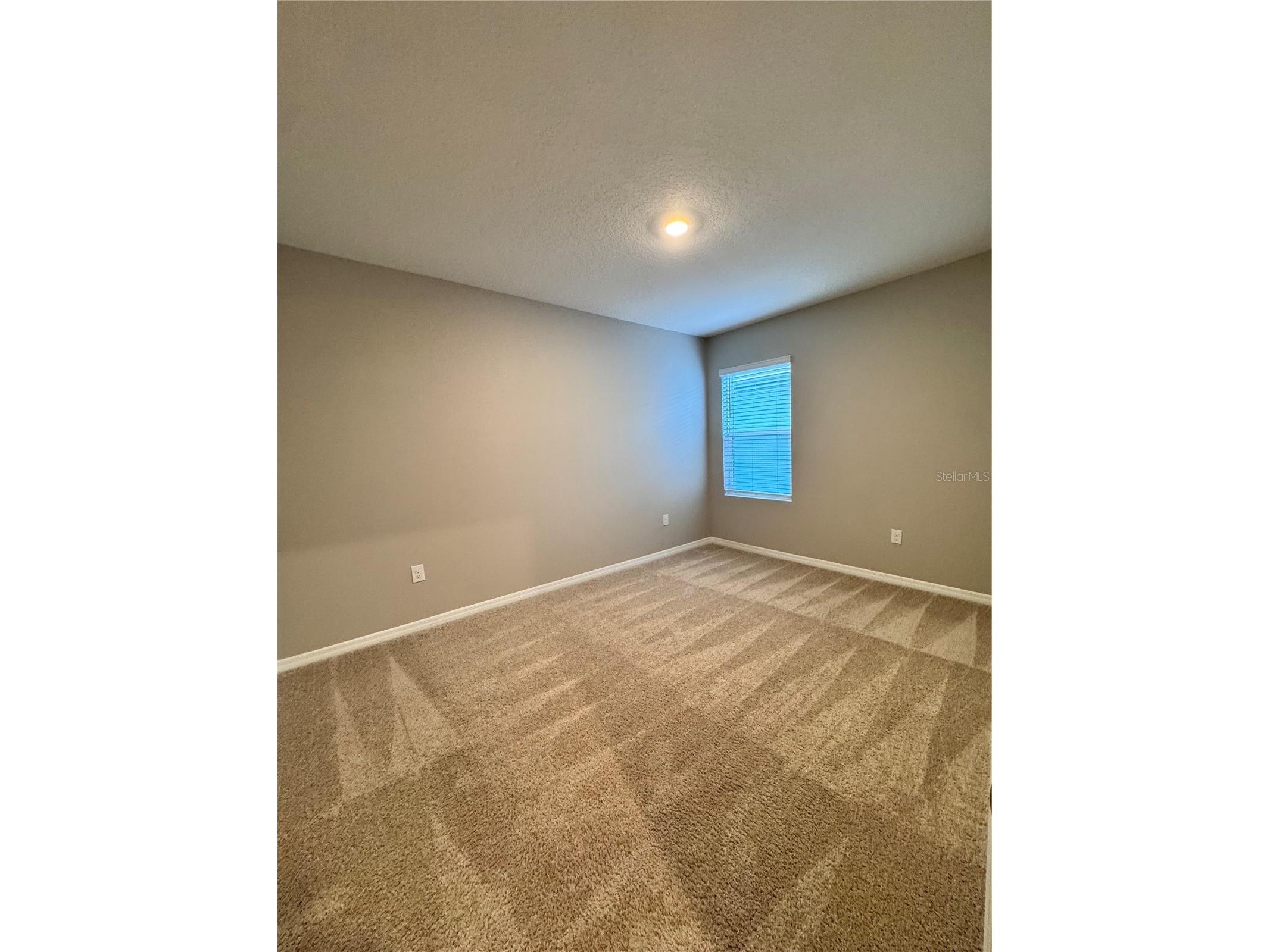 2531 Avalon Park Boulevard Tavares FL 32778 S5148785 image29