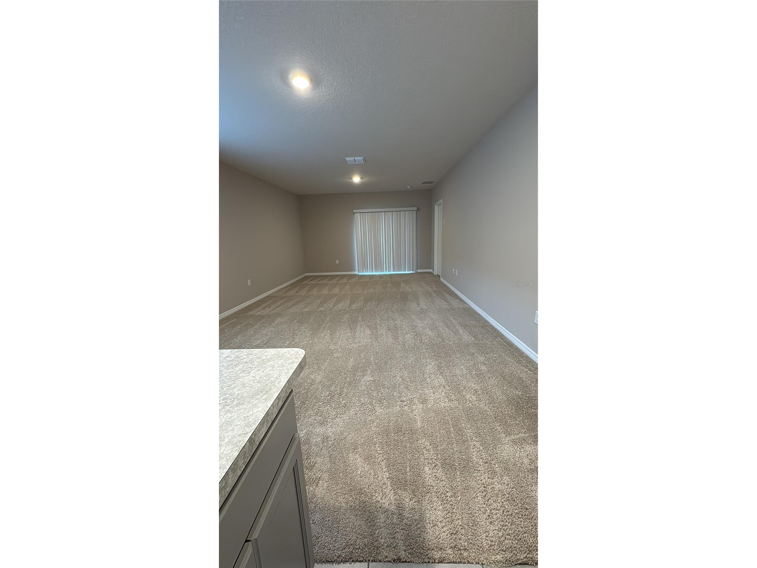 2531 Avalon Park Boulevard Tavares FL 32778 S5148785 image4