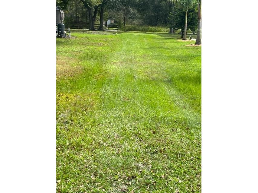 2531 Dad Weldon Road Dover FL 33527 T3471652 image1