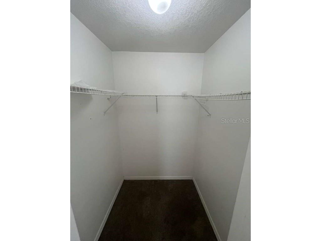 2531 Fan Palm Drive Davenport FL 33897 O6346392 image11